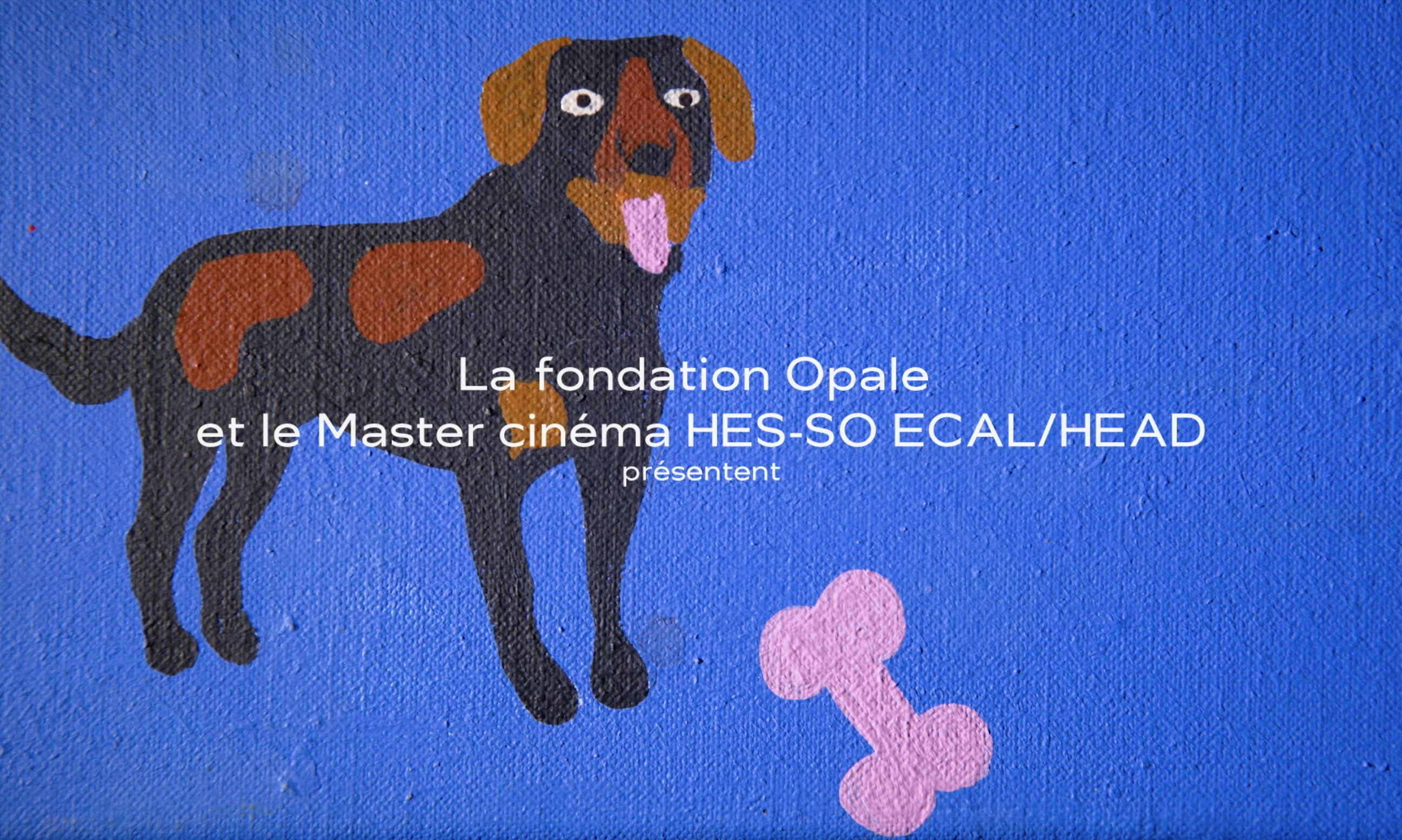 Sept Etoiles de la Fondation Opale