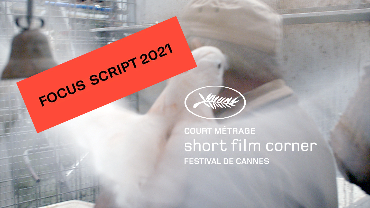 The Bird-Seller: Focus SCRIPT Cannes Film Festival