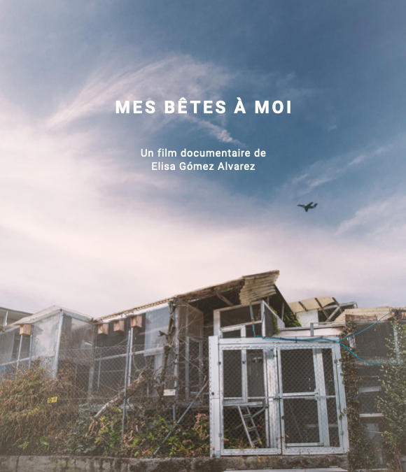 Mes bêtes à moi
