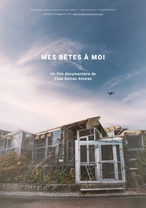 Mes bêtes à moi